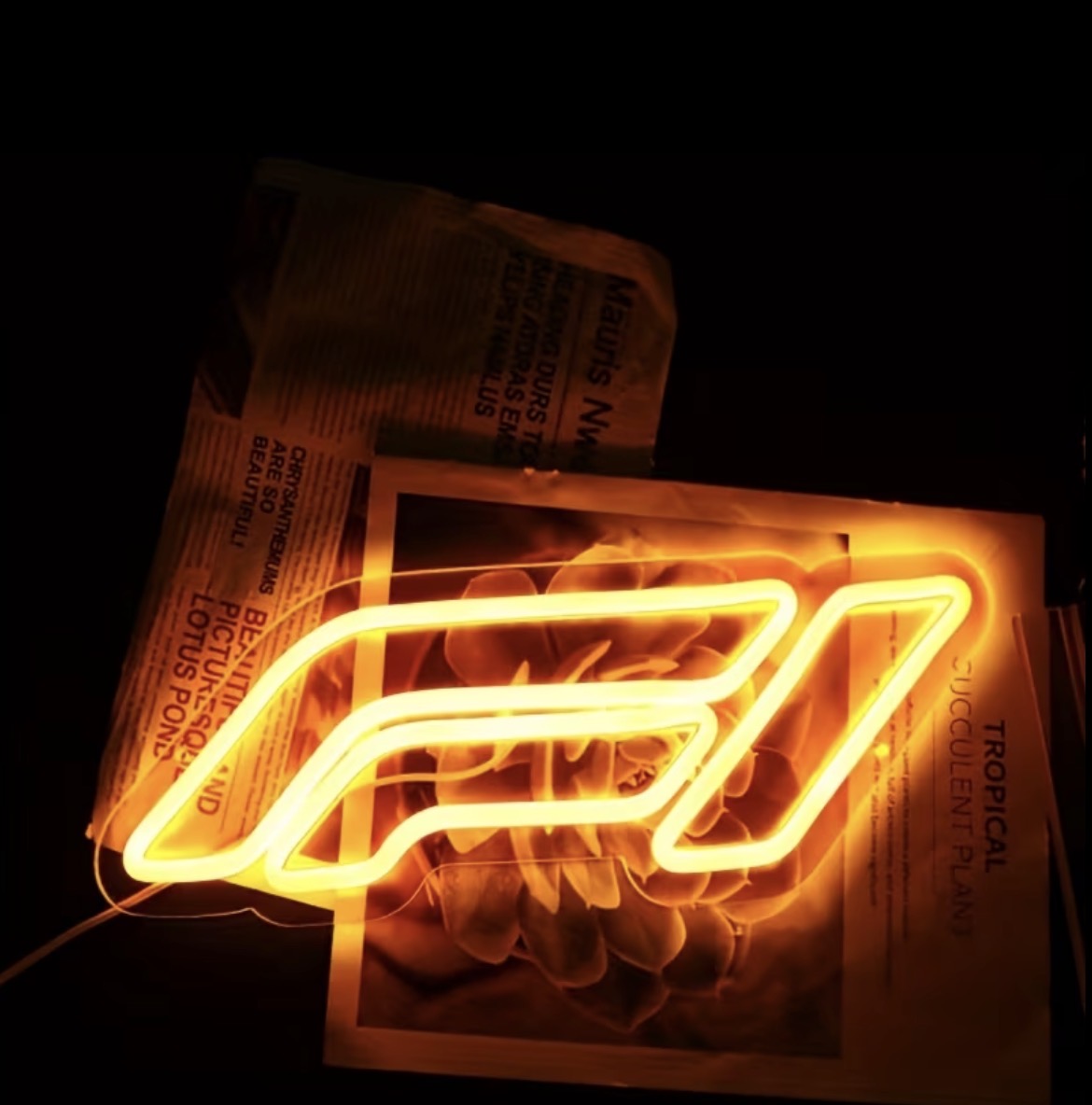 F1 Neon Light