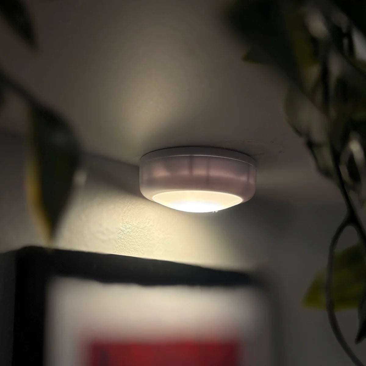 Floating Shelve Lights