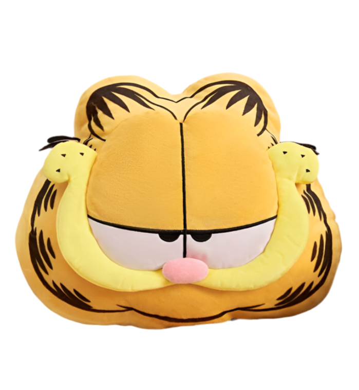 Garfield pilliow