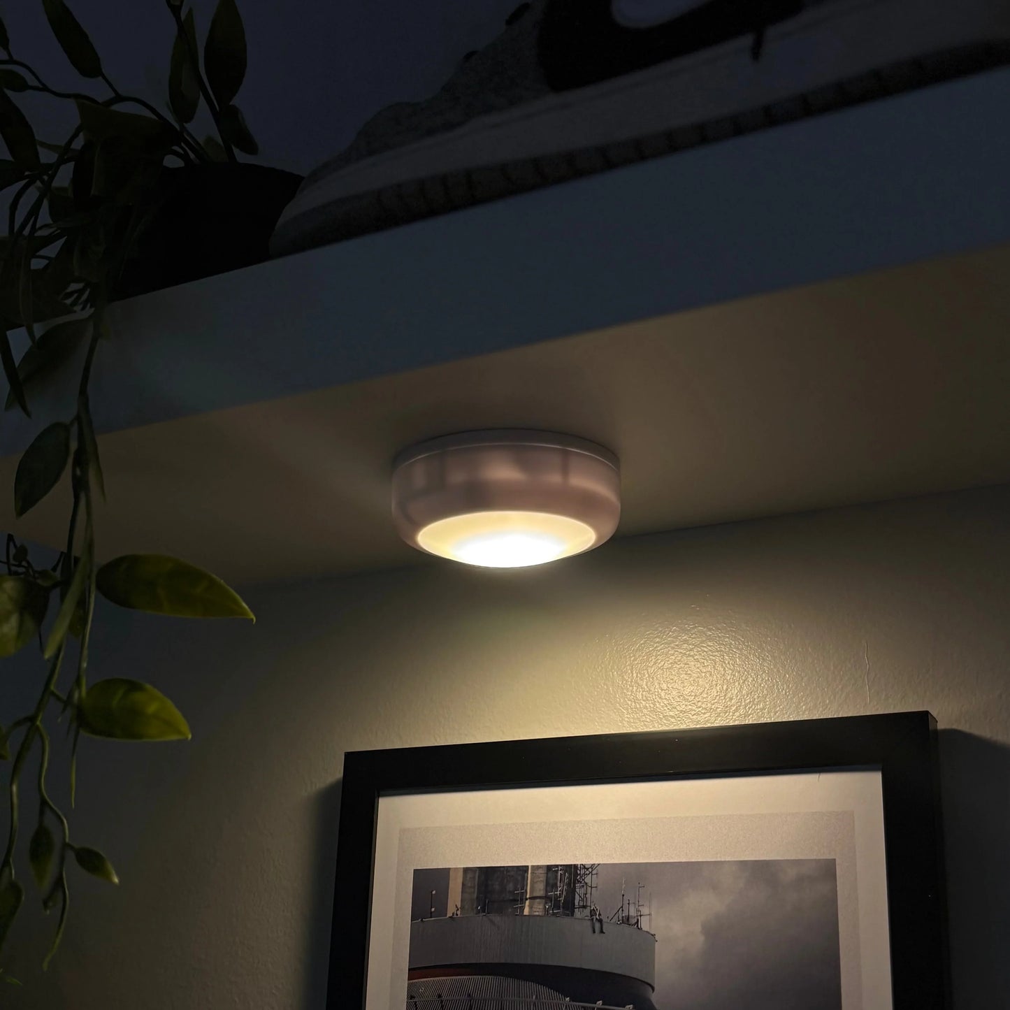 Floating Shelve Lights