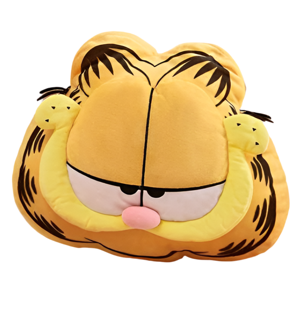 Garfield pilliow